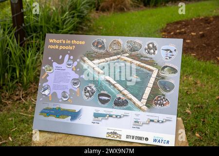 Glebe Sydney, Feuchtgebiete entlang des Johnstons Creek, einschließlich der Felsenbecken des Ozeans, New South Wales, Australien Stockfoto