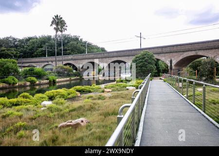 Glebe, Sydney, Johnstons Creek und Feuchtgebiete, die sich dem denkmalgeschützten Eisenbahnviadukt nähern, führen durch die Glebe and Wentworth Park Railway, Australien Stockfoto