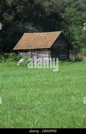 Holzschuppen in einem grünen Grasfeld in Serbien Stockfoto