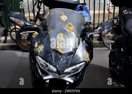 Taubenkot auf einem Motorrad, Paris, Frankreich Stockfoto