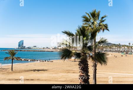 Blick vom Olympiahafen auf den Stadtstrand von Barcelona Barcelona Katalonien Spanien *** Blick vom Olympiahafen auf den Stadtstrand von Barcelona Ba Stockfoto