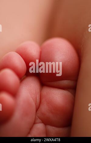 Kleine, pralle Babyzehen in einer weichen Nahaufnahme Stockfoto