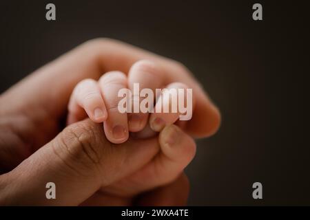 Die Hand des Neugeborenen greift den Finger eines Erwachsenen zärtlich Stockfoto