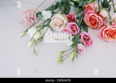 Verschiedene frische Rosen und Knospen auf Marmoroberfläche Stockfoto