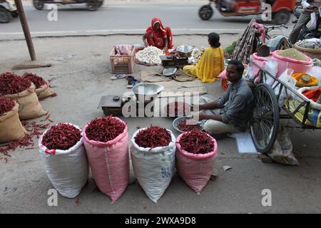 Jaipur, Indien, 08. März 2019: Straßenmarkt, Verkäufer sitzen auf dem Boden, der Verkehr rauscht vorbei. Getrocknete rote Chili- und Knoblauchhandschuhe zum Verkauf. Stockfoto