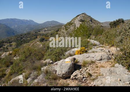 Wanderweg mit gelb-weiß gemalter Wegmarkierung auf dem Cavall Verd-Rücken mit Wanderweg, in der Nähe von Benimaurell, Vall de Laguar, Provinz Alicante, Stockfoto