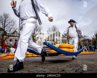 ALKMAAR - der Käse wird während der Eröffnung des ersten Käsemarktes der Saison auf dem Waagplein verkauft. ANP REMKO DE WAAL niederlande raus - belgien raus Stockfoto