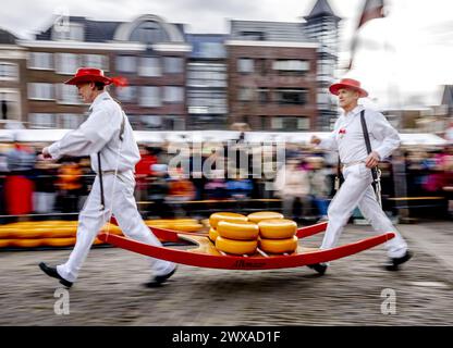 ALKMAAR - der Käse wird während der Eröffnung des ersten Käsemarktes der Saison auf dem Waagplein verkauft. ANP REMKO DE WAAL niederlande raus - belgien raus Stockfoto