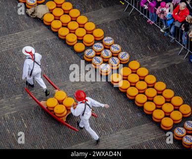 ALKMAAR - der Käse wird während der Eröffnung des ersten Käsemarktes der Saison auf dem Waagplein verkauft. ANP REMKO DE WAAL niederlande raus - belgien raus Stockfoto