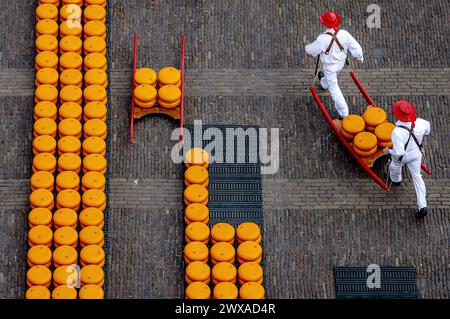 ALKMAAR - der Käse wird während der Eröffnung des ersten Käsemarktes der Saison auf dem Waagplein verkauft. ANP REMKO DE WAAL niederlande raus - belgien raus Stockfoto