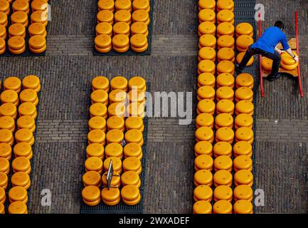 ALKMAAR - der Käse wird während der Eröffnung des ersten Käsemarktes der Saison auf dem Waagplein verkauft. ANP REMKO DE WAAL niederlande raus - belgien raus Stockfoto