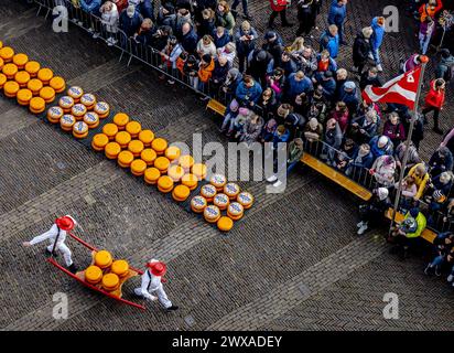 ALKMAAR - der Käse wird während der Eröffnung des ersten Käsemarktes der Saison auf dem Waagplein verkauft. ANP REMKO DE WAAL niederlande raus - belgien raus Stockfoto