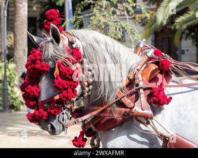 Ornamente auf dem Kopf von Kutschpferden auf der Messe in Málaga Stockfoto