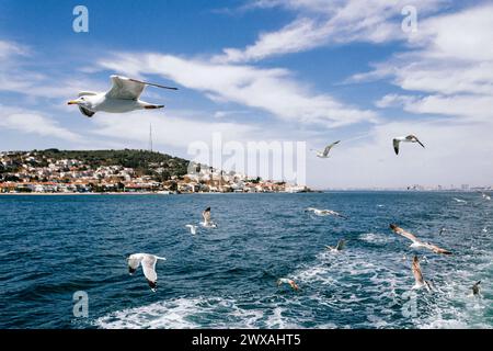 Möwen fliegen mit klarem Himmel über dem Meer und landen in der Ferne, an einem Metallmast vorbei Stockfoto