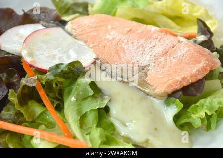 Gelierter Lachs mit gemischtem Gemüsesalat-Dressing mit scharfer und saurer Meeresfrüchte-Cremesauce auf Teller Stockfoto
