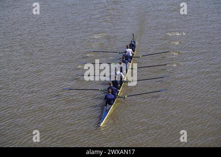 Putney, London 29 März 2024 . Die Männer der Oxford University rudern heute während eines Trainings in der Themse. Laut der Umweltkampagne River Action im Vorfeld des traditionellen Oxford Cambridge University Boot Race am Samstag, dem 30. März, wurden in der Londoner Themse hohe Mengen von E. coli gefunden. Quelle: amer Gazzal/Alamy Live News Stockfoto