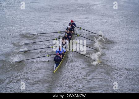 Putney, London 29 März 2024 . Die Männer der Oxford University rudern heute während eines Trainings in der Themse. Laut der Umweltkampagne River Action im Vorfeld des traditionellen Oxford Cambridge University Boot Race am Samstag, dem 30. März, wurden in der Londoner Themse hohe Mengen von E. coli gefunden. Quelle: amer Gazzal/Alamy Live News Stockfoto