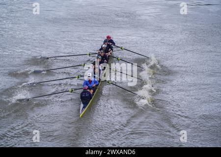 Putney, London 29 März 2024 . Die Männer der Oxford University rudern heute während eines Trainings in der Themse. Laut der Umweltkampagne River Action im Vorfeld des traditionellen Oxford Cambridge University Boot Race am Samstag, dem 30. März, wurden in der Londoner Themse hohe Mengen von E. coli gefunden. Quelle: amer Gazzal/Alamy Live News Stockfoto