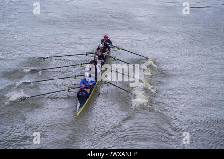 Putney, London 29 März 2024 . Die Männer der Oxford University rudern heute während eines Trainings in der Themse. Laut der Umweltkampagne River Action im Vorfeld des traditionellen Oxford Cambridge University Boot Race am Samstag, dem 30. März, wurden in der Londoner Themse hohe Mengen von E. coli gefunden. Quelle: amer Gazzal/Alamy Live News Stockfoto