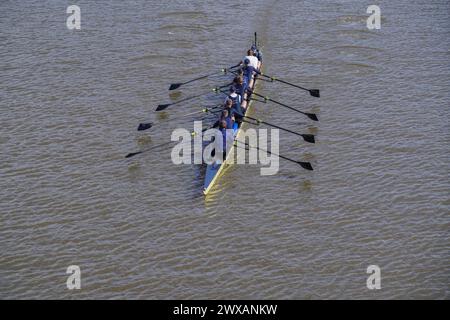 Putney, London 29 März 2024 . Die Männer der Oxford University rudern heute während eines Trainings in der Themse. Laut der Umweltkampagne River Action im Vorfeld des traditionellen Oxford Cambridge University Boot Race am Samstag, dem 30. März, wurden in der Londoner Themse hohe Mengen von E. coli gefunden. Quelle: amer Gazzal/Alamy Live News Stockfoto