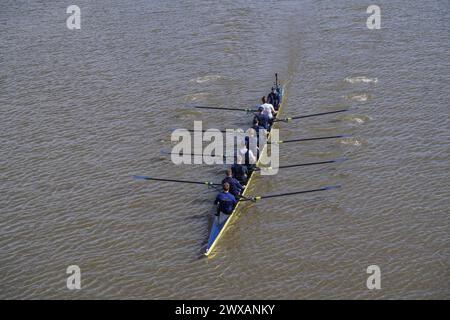 Putney, London 29 März 2024 . Die Männer der Oxford University rudern heute während eines Trainings in der Themse. Laut der Umweltkampagne River Action im Vorfeld des traditionellen Oxford Cambridge University Boot Race am Samstag, dem 30. März, wurden in der Londoner Themse hohe Mengen von E. coli gefunden. Quelle: amer Gazzal/Alamy Live News Stockfoto