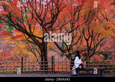 Frau, die allein auf einer Bank sitzt und den leuchtenden roten Ahornbaum im Tofukuji-Tempel in Kyoto, Japan sieht Stockfoto
