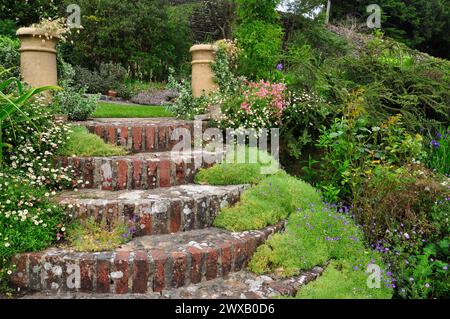 Niedrig wachsende Blumen stürzen über eine interessante Reihe von Stufen in einem Dorfgarten, gebaut aus alten Hausziegeln und viktorianischen Schornsteintöpfen.Somerset Stockfoto