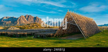 Dorf Henningsvaer, Lofoten Inseln, Norwegen, traditionelles Trocknen von Kabeljau, Trocknen auf Holzregalen auf den Lofoten Inseln Stockfoto