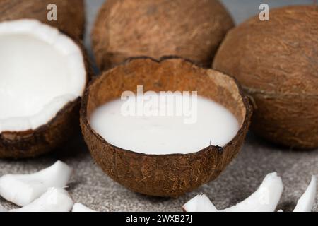Kokosmilch in Kokosnussschale und Kokosnuss, gehacktes Fleisch auf grauem Hintergrund Stockfoto
