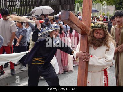 CUENCA-VIACRUSIS-SEMANA SANTA-TURI Cuenca, Ecuador 29 de marzo de 2024. Descalzo y con una cruz de madera de MAS de 200 libras sobre sus hombros, Marco Pintado recorrio las 14 estaciones del Via crucis de la parroquia Turi en Cuenca. El personifica a a Jesus desde hace anos, cuando heredo el legado de su padre, que Practice este rito por 14 anos, en la procesion en Honor al Senor de la Buena Muerte, una de las Mas tradicionales que se celebran en la Capital azuaya en Semana Santa. La procesion, que inicio a las 09:30 de hoy, viernes 29 de marzo de 2024, en los Tres Puentes, es liderada por un gru Stockfoto