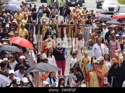 CUENCA-VIACRUSIS-SEMANA SANTA-TURI Cuenca, Ecuador 29 de marzo de 2024. Descalzo y con una cruz de madera de MAS de 200 libras sobre sus hombros, Marco Pintado recorrio las 14 estaciones del Via crucis de la parroquia Turi en Cuenca. El personifica a a Jesus desde hace anos, cuando heredo el legado de su padre, que Practice este rito por 14 anos, en la procesion en Honor al Senor de la Buena Muerte, una de las Mas tradicionales que se celebran en la Capital azuaya en Semana Santa. La procesion, que inicio a las 09:30 de hoy, viernes 29 de marzo de 2024, en los Tres Puentes, es liderada por un gru Stockfoto