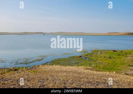 Open Country Field in der Inneren Mongolei, China. Stockfoto