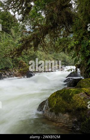 Papallacta Fluss, Papallacta Gebiet, Ecuador Anden, Ecuador, Südamerika Stockfoto