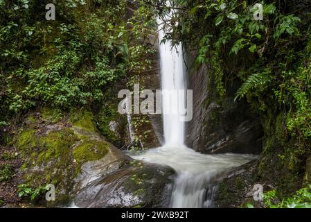 Wasserfall in Papallacta, Ecaudor Andes, Ecuador, Südamerika Stockfoto