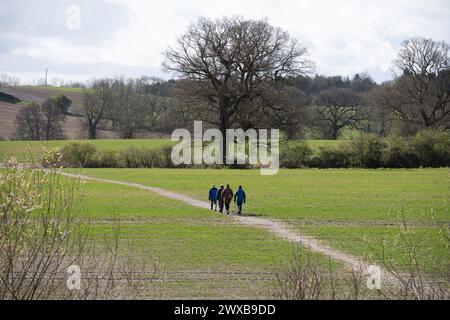 Wanderer auf einem öffentlichen Wanderweg im Winter, Warwickshire, England, Großbritannien Stockfoto