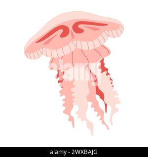 Cartoon Pink Quallen flach. Medusa-Vektor-Illustration. Moderne flache Illustration Quallen isoliert auf weißem Hintergrund. Vektorabbildung Stock Vektor