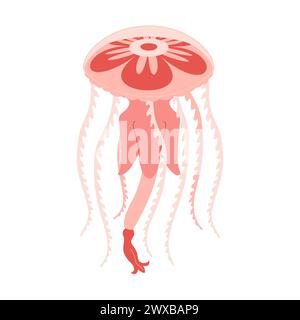 Cartoon Pink Quallen flach. Medusa-Vektor-Illustration. Moderne flache Illustration Quallen isoliert auf weißem Hintergrund. Vektorabbildung Stock Vektor