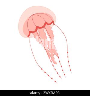 Cartoon Pink Quallen flach. Medusa-Vektor-Illustration. Moderne flache Illustration Quallen isoliert auf weißem Hintergrund. Vektorabbildung Stock Vektor