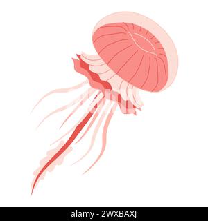 Cartoon Pink Quallen flach. Medusa-Vektor-Illustration. Moderne flache Illustration Quallen isoliert auf weißem Hintergrund. Vektorabbildung Stock Vektor