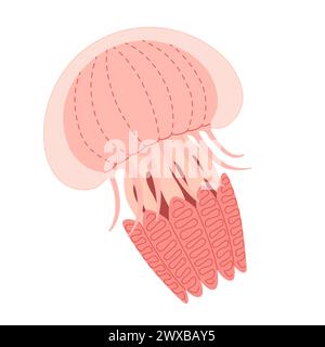 Cartoon Pink Quallen flach. Medusa-Vektor-Illustration. Moderne flache Illustration Quallen isoliert auf weißem Hintergrund. Vektorabbildung Stock Vektor