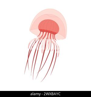Cartoon Pink Quallen flach. Medusa-Vektor-Illustration. Moderne flache Illustration Quallen isoliert auf weißem Hintergrund. Vektorabbildung Stock Vektor