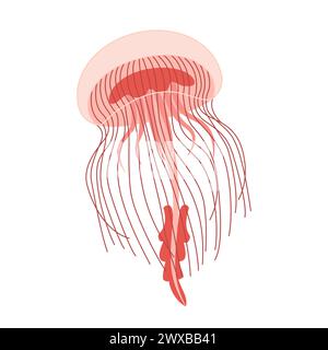 Cartoon Pink Quallen flach. Medusa-Vektor-Illustration. Moderne flache Illustration Quallen isoliert auf weißem Hintergrund. Vektorabbildung Stock Vektor