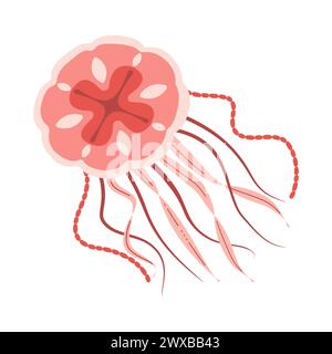 Cartoon Pink Quallen flach. Medusa-Vektor-Illustration. Moderne flache Illustration Quallen isoliert auf weißem Hintergrund. Vektorabbildung Stock Vektor