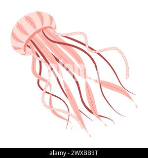 Cartoon Pink Quallen flach. Medusa-Vektor-Illustration. Moderne flache Illustration Quallen isoliert auf weißem Hintergrund. Vektorabbildung Stock Vektor