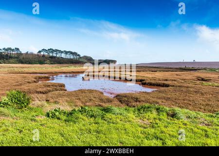 Projekt Zur Wiederherstellung Des Lower Otter River. Stockfoto