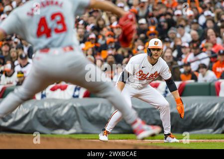 Baltimore, Maryland, USA. März 2024. Baltimore Orioles dritter Baseman Gunnar Henderson (2) übernimmt seine Führung, als Patrick Sandoval (43) den Startkrug der Los Angeles Angels im Oriole Park in Camden Yards in Baltimore, Maryland, antritt. Cory Royster/Cal Sport Media/Alamy Live News Stockfoto