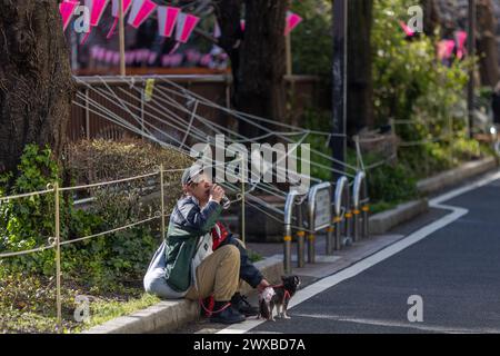 Tokio, Japan. März 2024. Bänke in der Nähe des Meguro River wurden abgesperrt, um zu verhindern, dass Menschen Orte retten, um den ganzen sonnigen Tag unter der blühenden Sakura zu verbringen. Mitglieder der Öffentlichkeit besuchen den Meguro River, um Kirschblüten zu sehen, die aufgrund des regnerischen und kalten Wetters noch nicht geblüht haben. Es wird erwartet, dass am nächsten Tag, am Wochenende, Kirschblüten blühen, wobei die Erwartungen an einen blühenden Blumentourismus bestehen. Quelle: Marcin Nowak/Alamy Live News Stockfoto