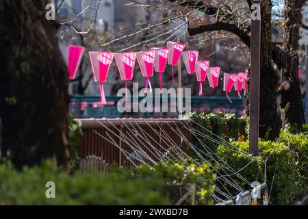 Tokio, Japan. März 2024. Bänke in der Nähe des Meguro River wurden abgesperrt, um zu verhindern, dass Menschen Orte retten, um den ganzen sonnigen Tag unter der blühenden Sakura zu verbringen. Mitglieder der Öffentlichkeit besuchen den Meguro River, um Kirschblüten zu sehen, die aufgrund des regnerischen und kalten Wetters noch nicht geblüht haben. Es wird erwartet, dass am nächsten Tag, am Wochenende, Kirschblüten blühen, wobei die Erwartungen an einen blühenden Blumentourismus bestehen. Quelle: Marcin Nowak/Alamy Live News Stockfoto