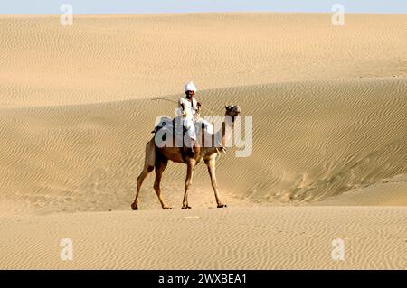 Ein Kamelreiter reitet in der Wüste Thar, Sam, in der Nähe von Jaisalmer, Ein Mann reitet auf einem Kamel über die Sanddünen der Wüste, Rajasthan, Indien Stockfoto