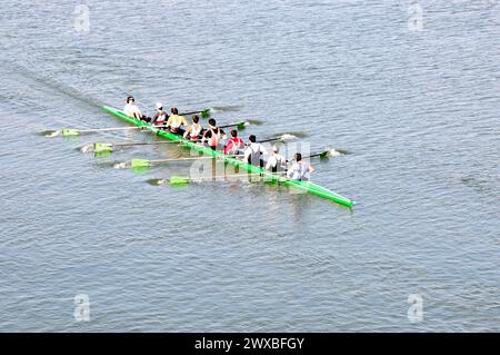 Team in einem Ruderboot auf dem Fluss Douro während der Teamarbeit, Porto, Nordportugal, Portugal Stockfoto